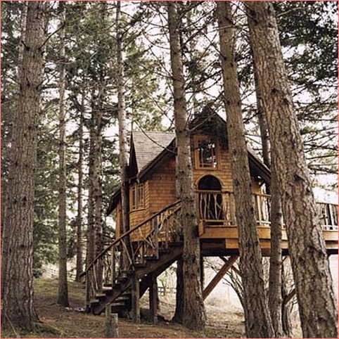 http://www.culturadecanarias.com/tree-houses-rent-washington-state/